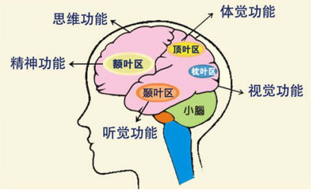 感統(tǒng)測評哪家好 專業(yè)的感統(tǒng)訓(xùn)練哪兒有