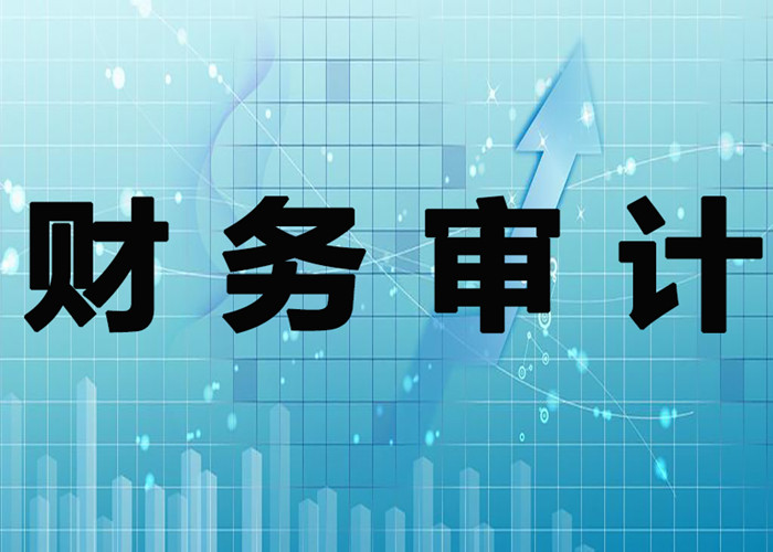 财务审计信息-财务审计项目公司