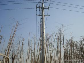 河北電力鋼桿銷售 河北電力鋼桿報價 華明