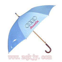 促銷多功能的小型數碼印刷機可定制雨傘原始圖片2