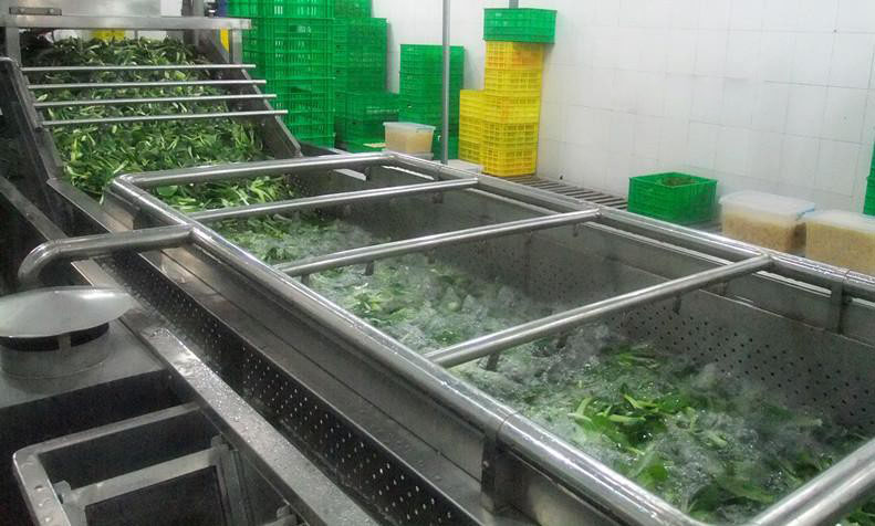 果蔬、蔬菜氣泡清洗機(jī)