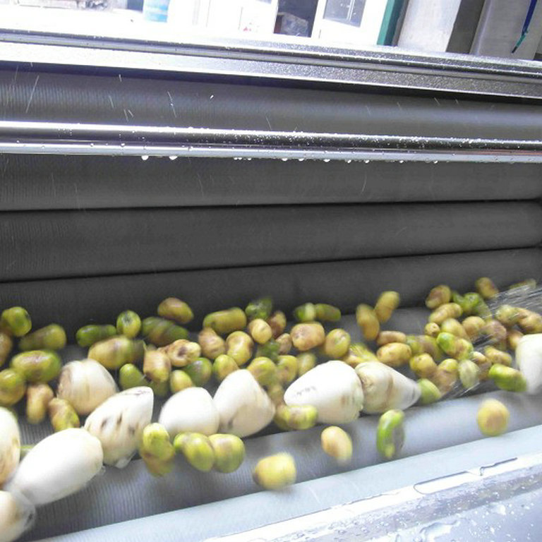 廠家大量供應生姜去皮機