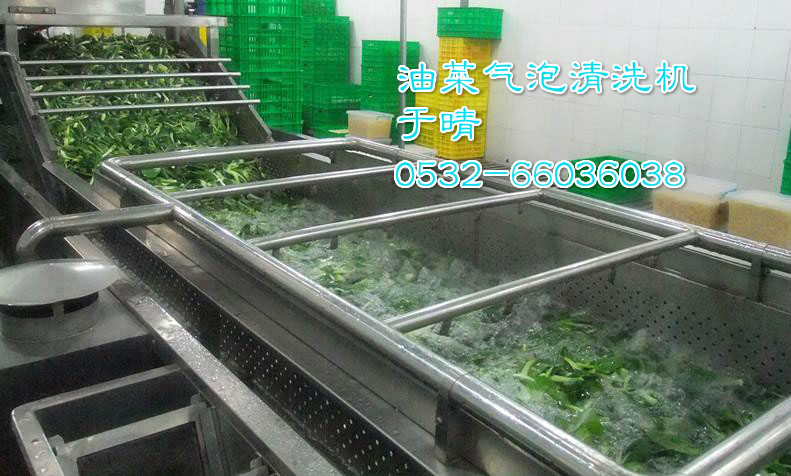 蔬菜瓜果清洗機,量大優惠