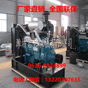 懷化濰柴三維R6113AZG挖掘機用柴油機哪家好