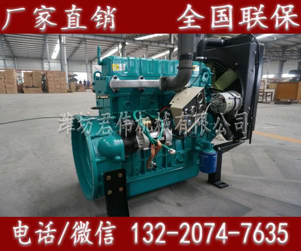 臨湘濰柴山濰拖R6113ZLD廈工裝載機發(fā)動機廠商原始圖片3