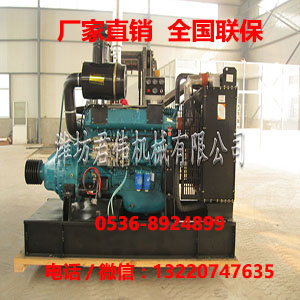合山濰柴長興4RNZT1(LS4)紐荷蘭拖拉機(jī)發(fā)動(dòng)機(jī)直銷原始圖片2