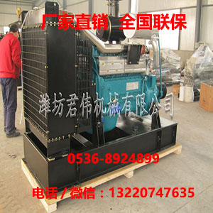 臨湘濰坊華科R4105ZT柳工裝載機柴油發動機廠家原始圖片2