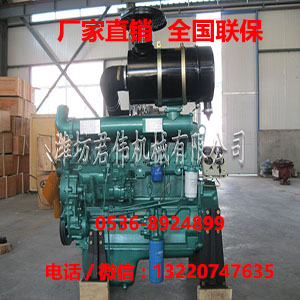 阜陽濰柴金馬2105打草機(jī)用柴油發(fā)動(dòng)機(jī)直銷原始圖片3