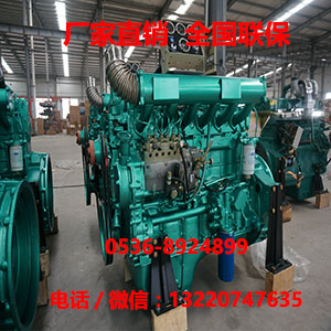 柴油機濰柴原始圖片3