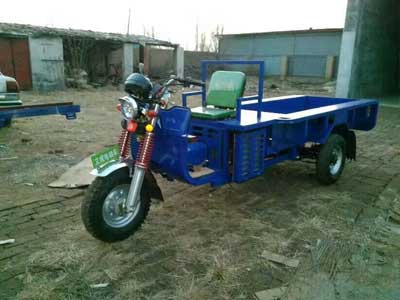 加工定制各型號電動三輪車
