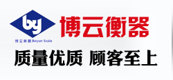 廊坊公路治超管理系統找哪個廠安裝--博云衡器制造