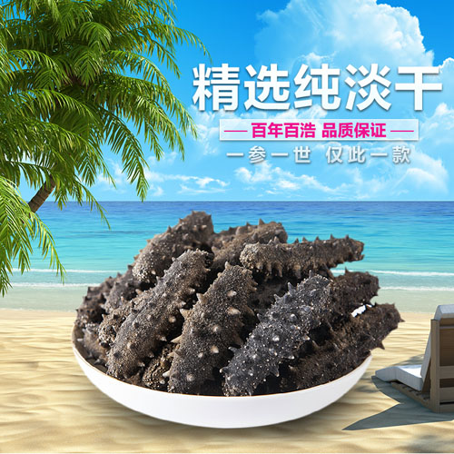 tg百浩牌精品淡干海參禮盒250g 適宜老年人食用