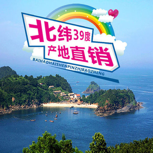 tg百浩牌精品淡干海參禮盒250g 適宜老年人食用原始圖片3