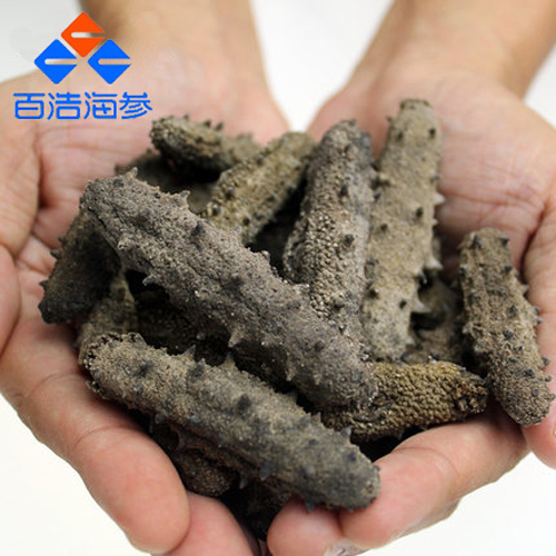 百浩牌 野生淡干海參禮盒 500g 60-70頭原始圖片3