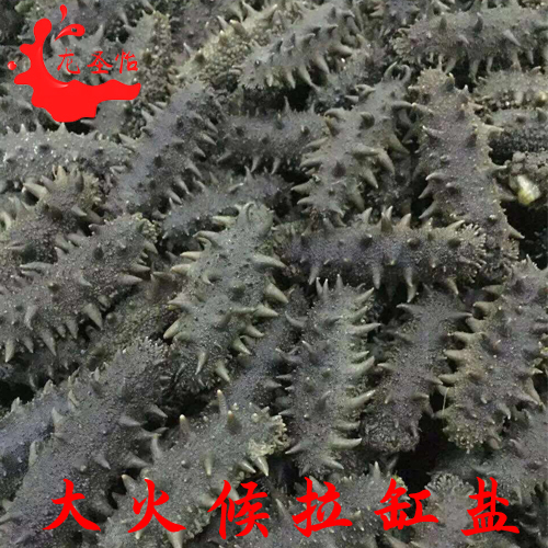 批發(fā)龍圣怡海參大連海參500g 鹽漬半干海參 大火候 拉缸鹽海參 原產(chǎn)地直銷原始圖片2