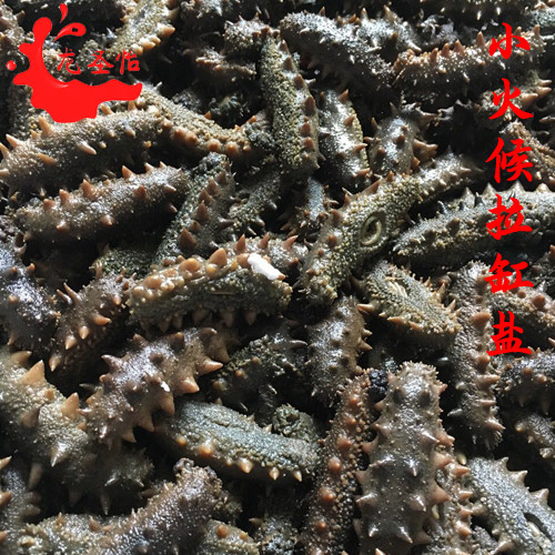 批發(fā)龍圣怡野生即食海參大禮包 10支裝每袋 遼寧刺參 送禮{sx}