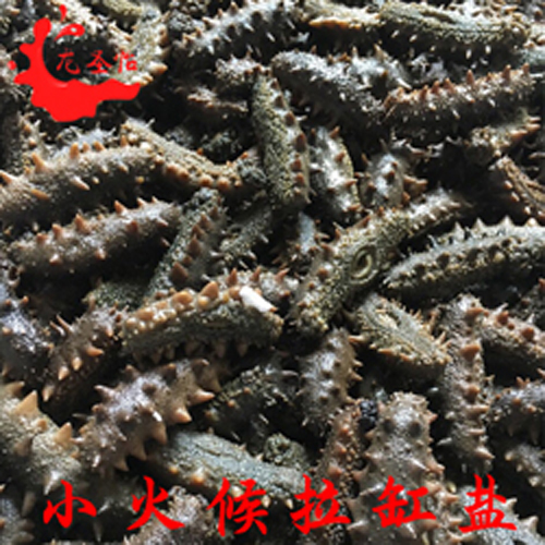 批發(fā)龍圣怡海參 廠家直銷 海鮮干貨 小火候拉缸鹽海參500g 多種規(guī)格選擇原始圖片2