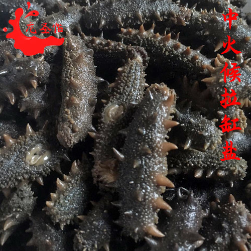 批發(fā)龍圣怡海參 廠家直銷 海鮮干貨 小火候拉缸鹽海參500g 多種規(guī)格選擇