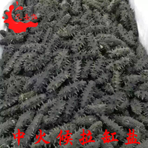 批發(fā)龍圣怡海參大連半干 中火候海參拉缸鹽遼參 肉厚口感好 多種規(guī)格原始圖片2