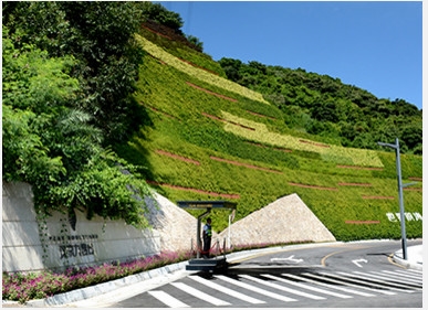 鐵漢一方綠化綠化——中國{lx1}的深圳綠化植物墻，深圳立體綠化