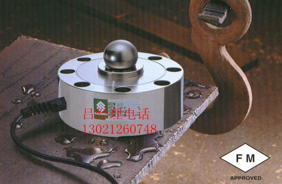 VT200 稱重儀表/控制器 美國威世