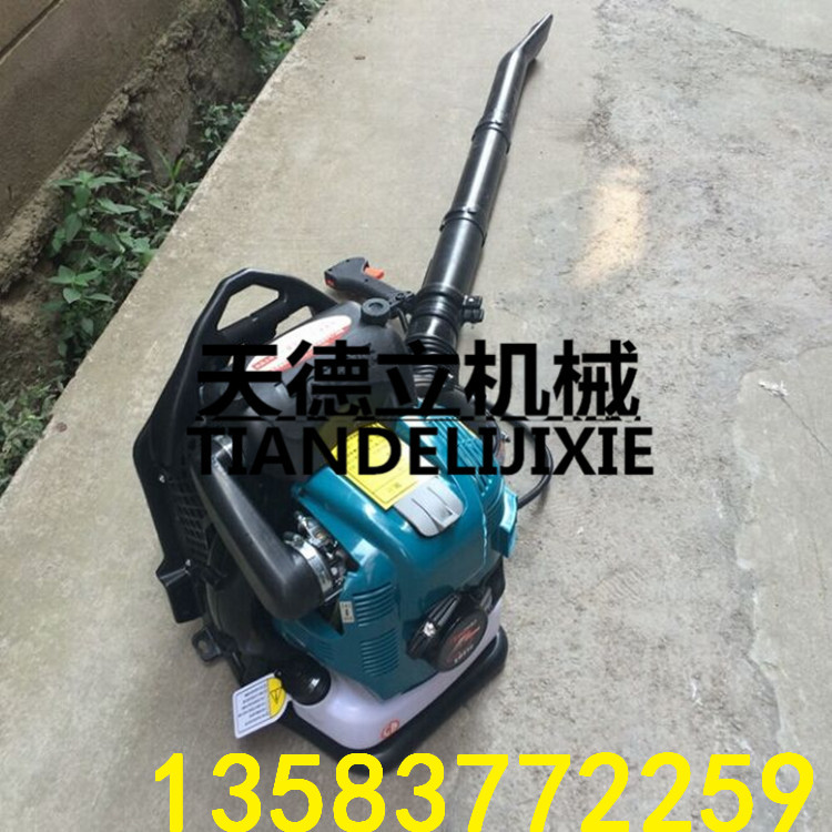 EB850四沖程背式吹風(fēng)機(jī) 園林落葉吹掃機(jī) 汽油背負(fù)式吹掃機(jī)廠家包郵原始圖片2