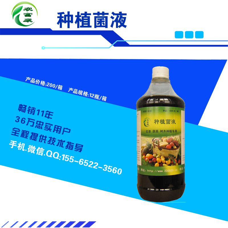 微生物制劑發(fā)酵酒糟喂牛有啥好處