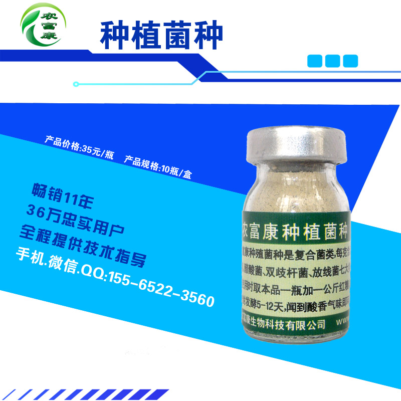 增加芽菜发芽率用的萝卜芽苗菜益生菌哪有卖的