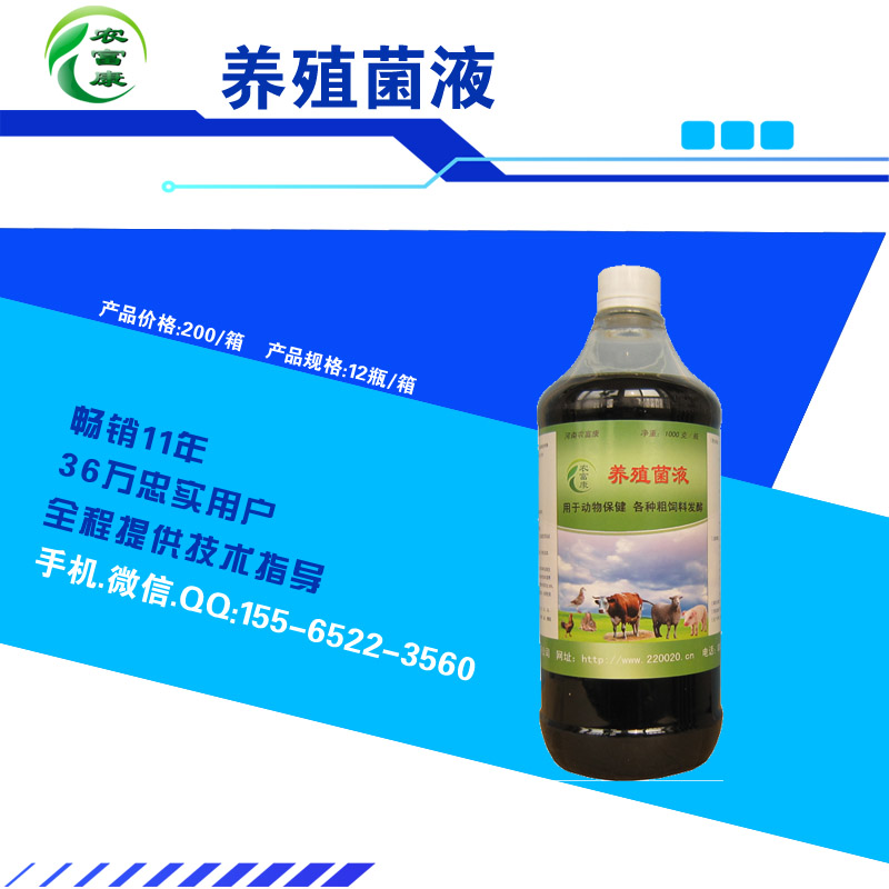 可以治小雞感冒益生菌養雞可以預防雞生病么