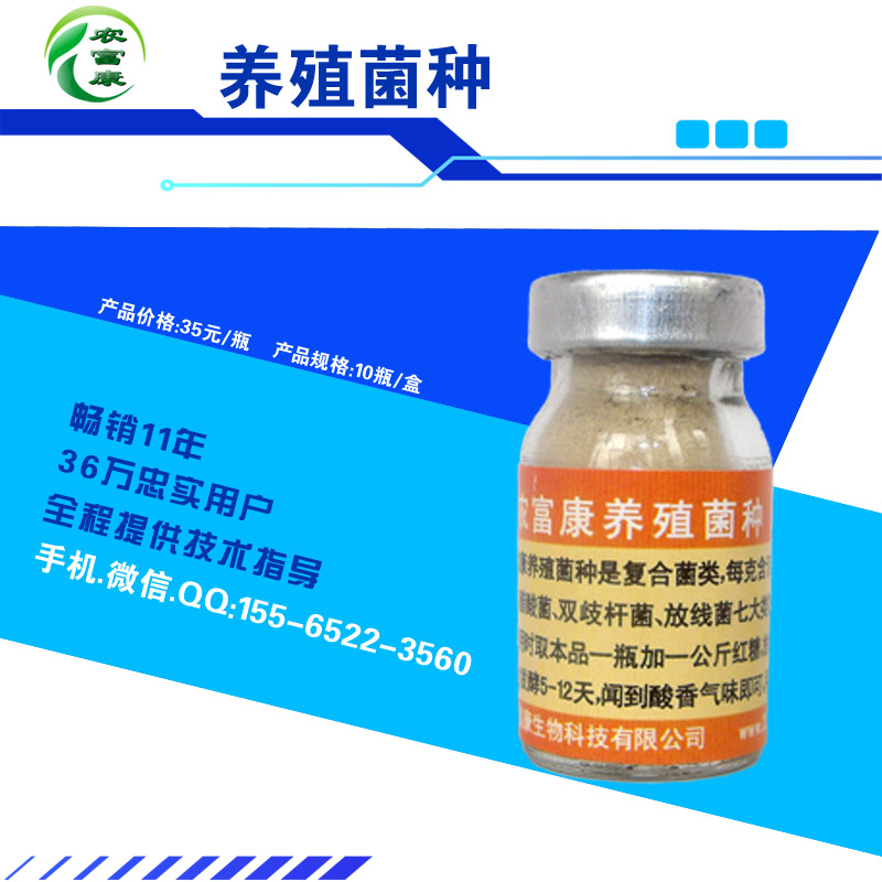 可以治小雞感冒益生菌養雞可以預防雞生病么