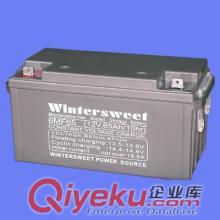 西安大力神蓄電池MPS系列12v100ah價(jià)格原始圖片2