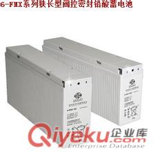 西安西恩迪蓄電池12v65ah價格