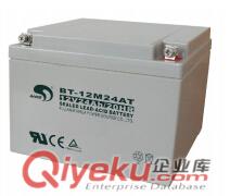 西安美洲豹蓄電池12v100ah價格原始圖片2