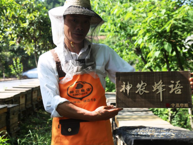 春季補脾胃，蜂蜜事半功倍
