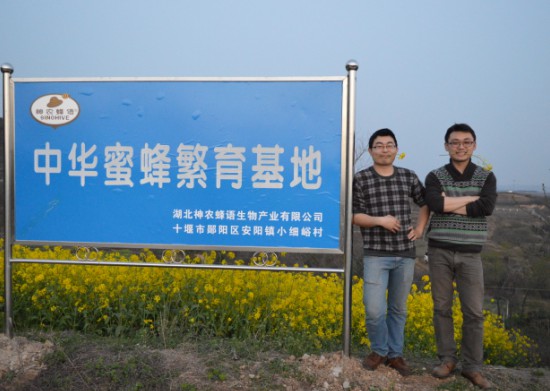 蜂王漿中是否含有js對人有害嗎