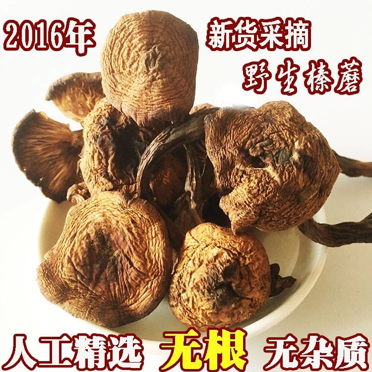 桂林東北特產(chǎn)專賣店 張記東北特產(chǎn)野生榛蘑批發(fā)零售
