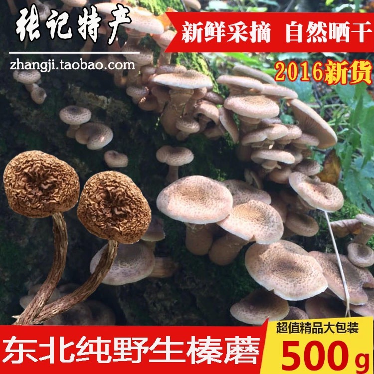 防城港東北特產專賣店 張記東北特產野生榛蘑批發零售