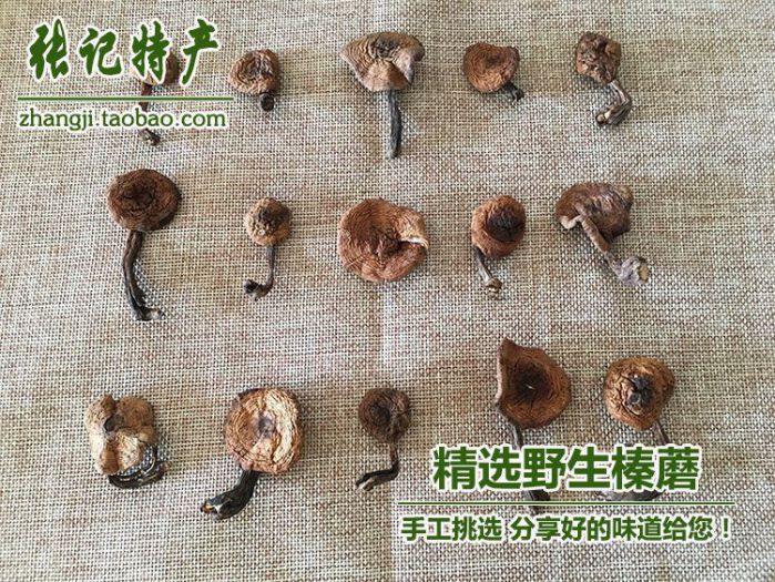 遼寧省東北特產專賣店 張記東北特產野生榛蘑批發零售