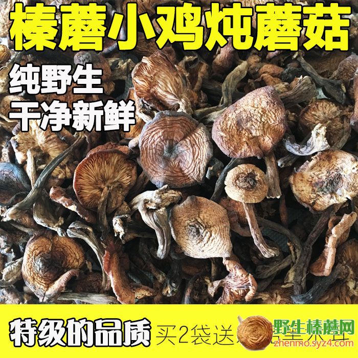 遼寧省東北特產專賣店 張記東北特產野生榛蘑批發零售