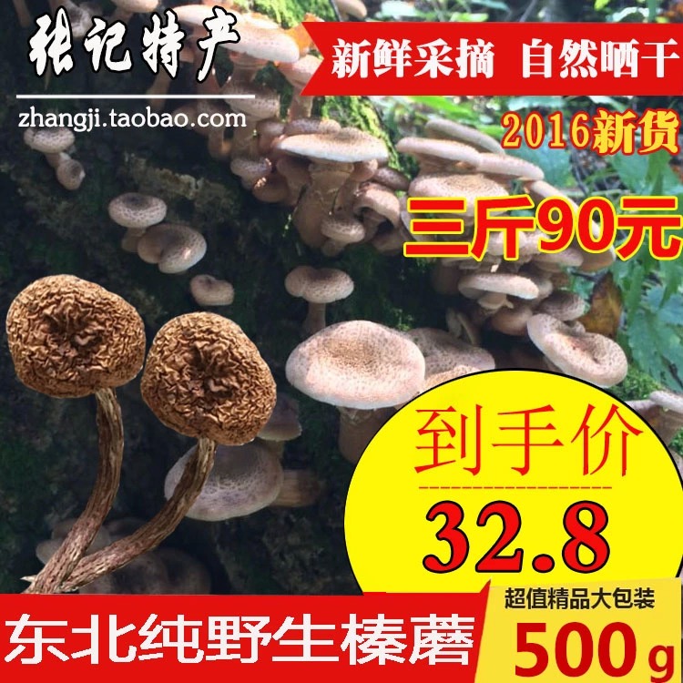 莊河東北特產專賣店 張記東北特產野生榛蘑批發零售