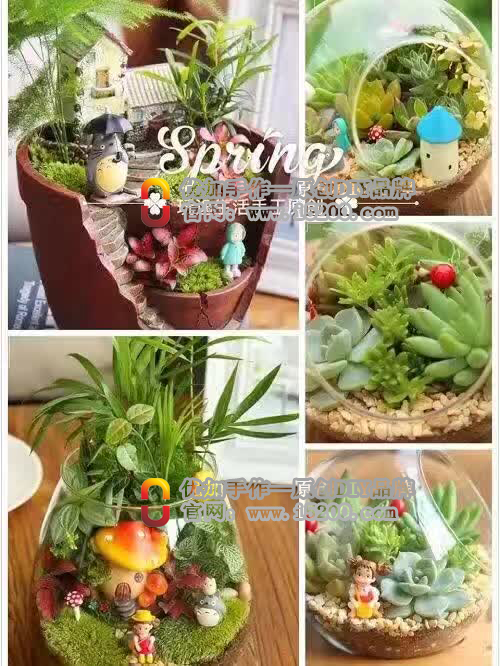 多肉DIY店，萌萌噠多肉植物遇見藝術原始圖片3