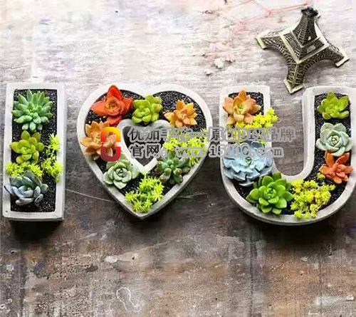 玩逸生活植物DIY，純手工制作，產(chǎn)品造型新穎，自己設(shè)計(jì)原始圖片2