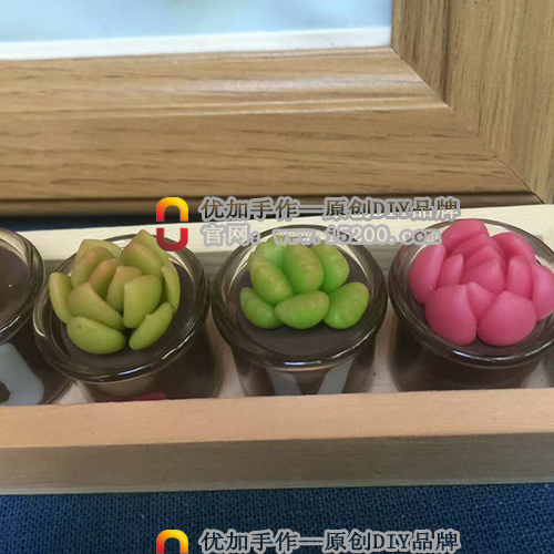 玩逸生活植物DIY，純手工制作，產(chǎn)品造型新穎，自己設(shè)計(jì)