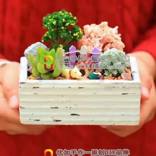 玩逸生活植物DIY，生活中的綠色小店原始圖片2