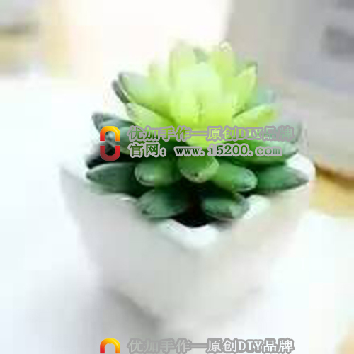 優(yōu)加手作多肉微景觀DIY，自己設(shè)計(jì)的微景觀原始圖片3