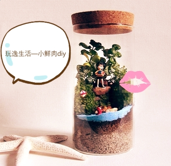 優加手作多肉微景觀DIY，自己設計的微景觀原始圖片2