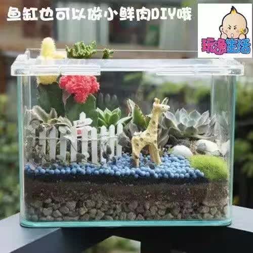 多肉DIY優(yōu)加手作小本創(chuàng)業(yè)，創(chuàng)意開店新選原始圖片3