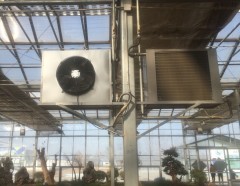 【好貨，來吧！】大棚園藝暖風機價格//養殖畜牧風機//雞舍用畜牧風機【666】諾德