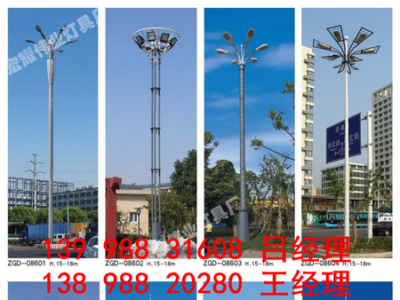 沈陽宏耀偉業(yè)高性價(jià)景觀燈_你的理想選擇，吉林景觀燈
