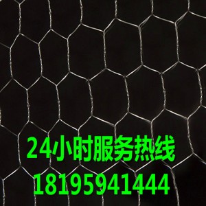 新疆尉犁PVC石籠網(wǎng)現(xiàn)貨批發(fā)